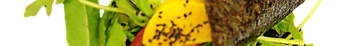 Temaki - 1 szt.