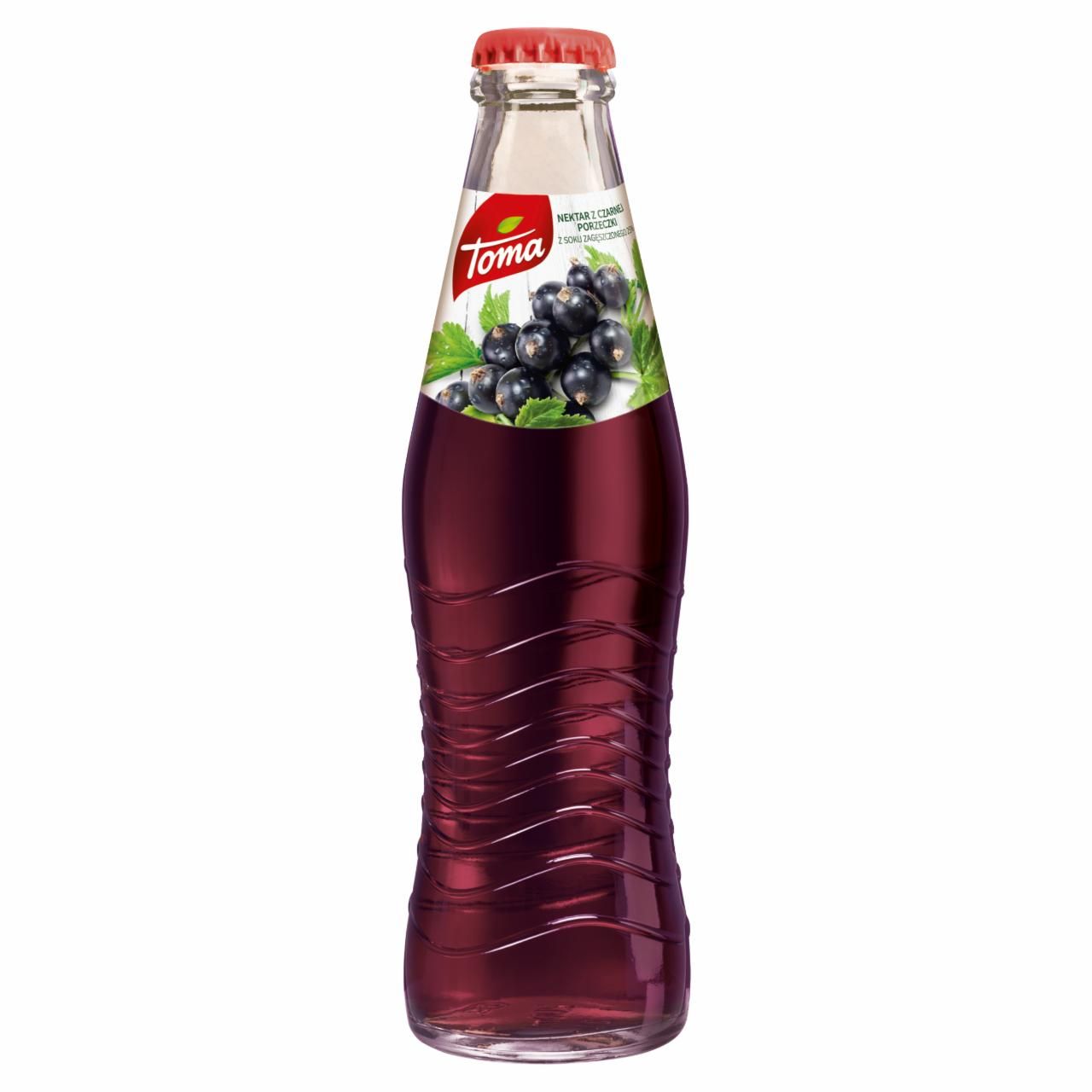 Toma nektar z czarnej porzeczki 200ml