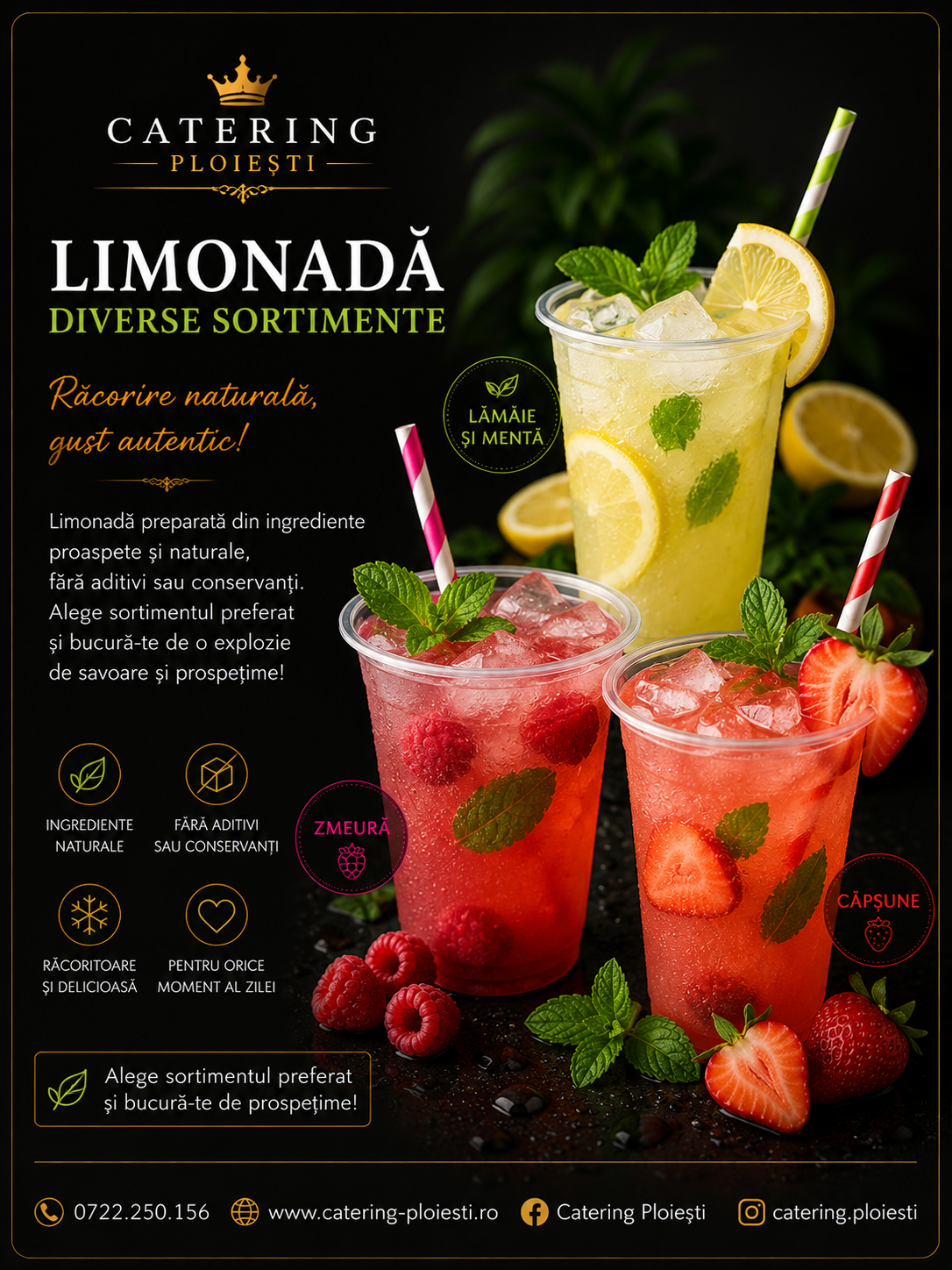 Limonada de casa diverse sortimente  250 ml	