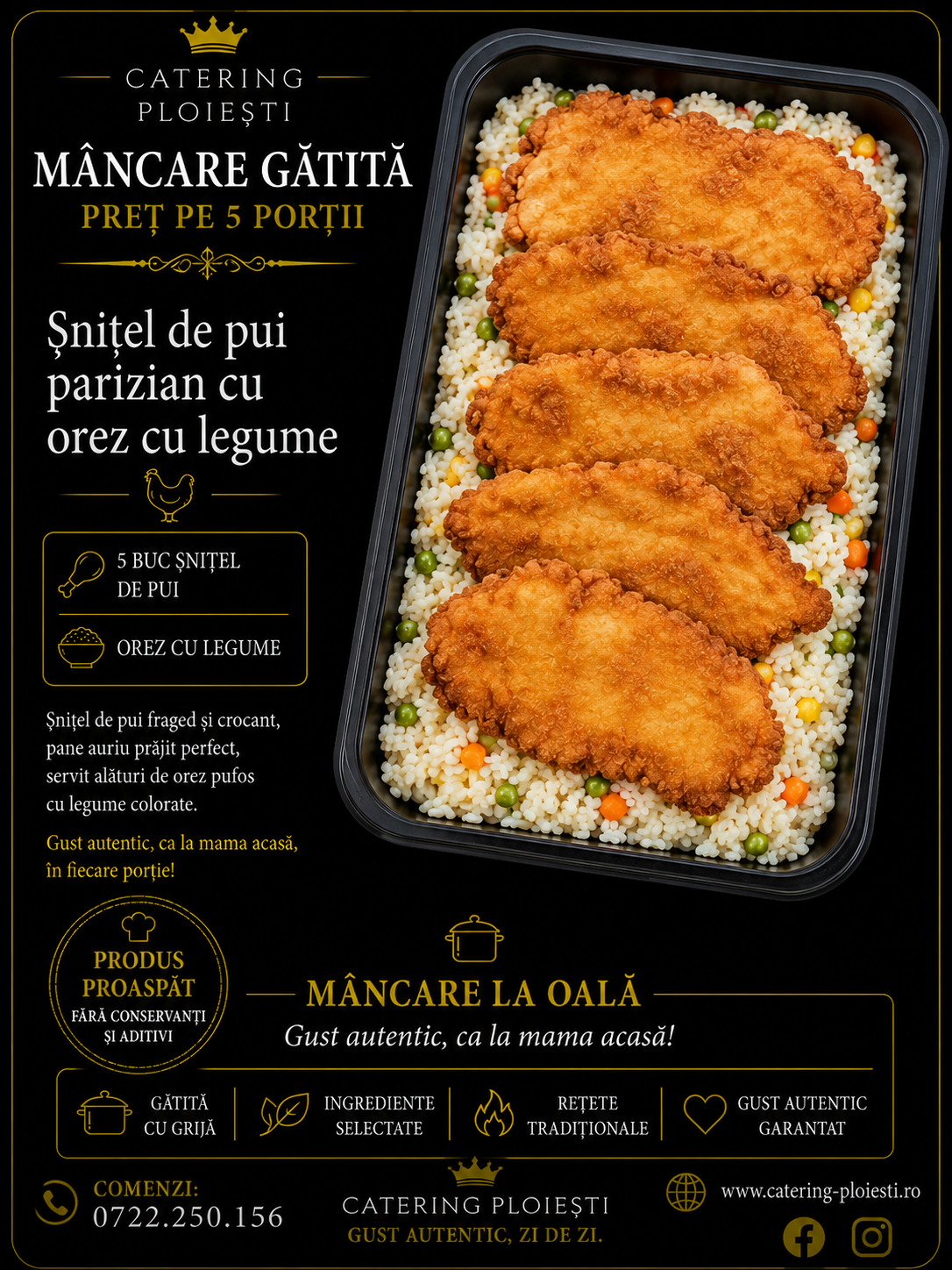 MANCARE GATITA  Snitel de pui cu orez cu legume (5 portii) 		