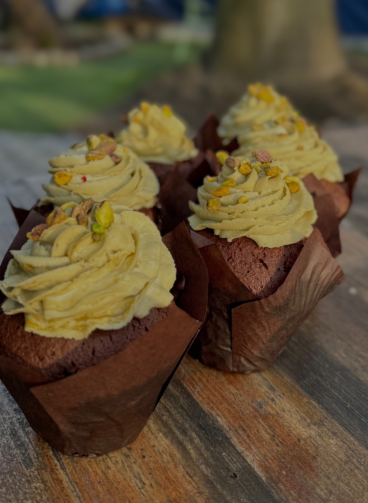 Muffin czekoladowy z lisem