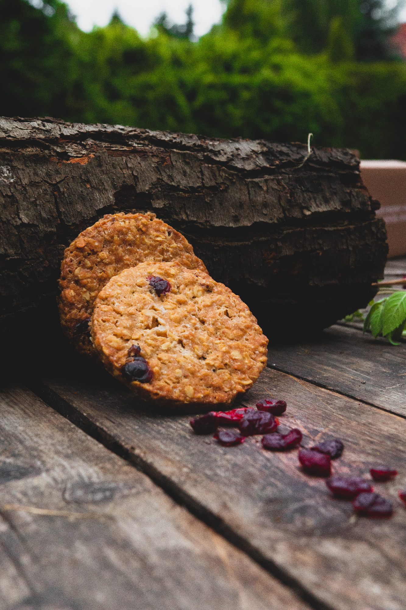 Ciastko owiane z żurawiną i białą czekoladą