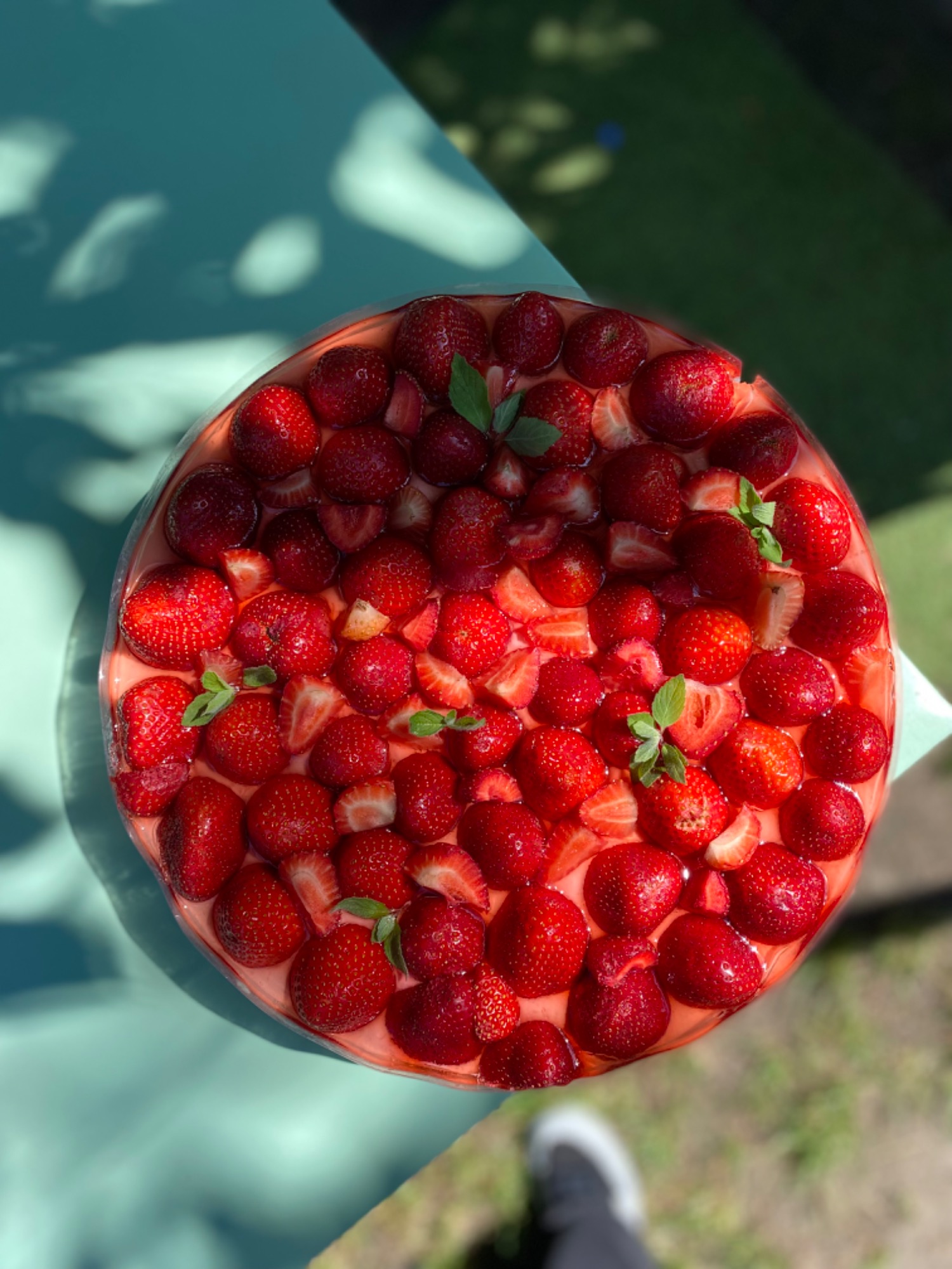 Sernik na zimno z galaretką i owocami