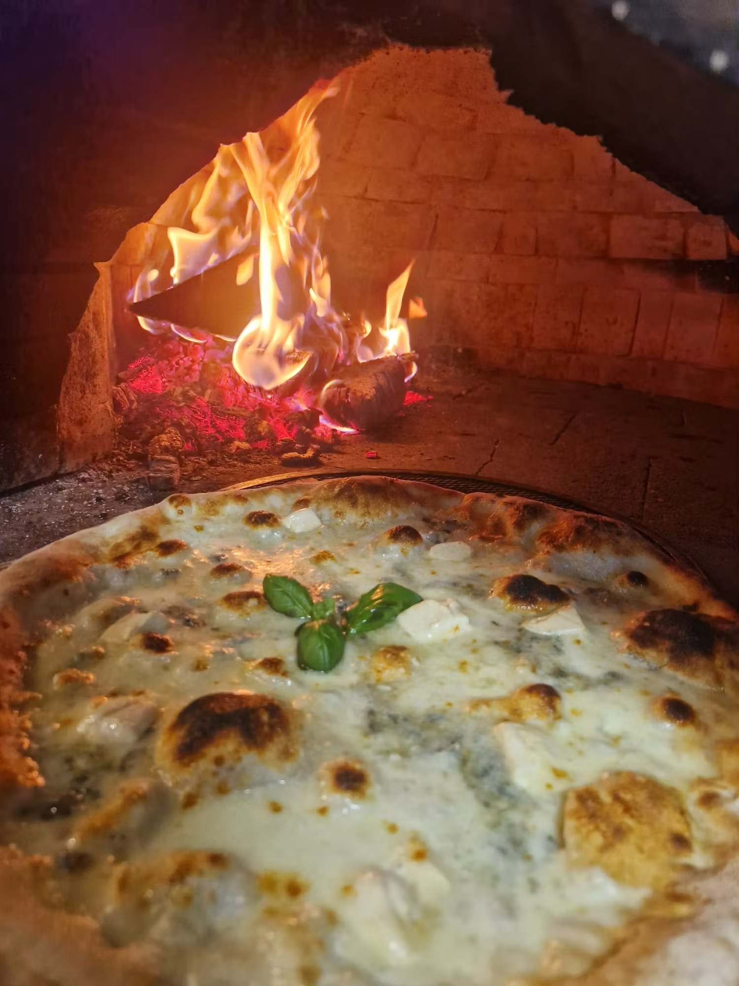 13. Quatro Formaggi Bianca