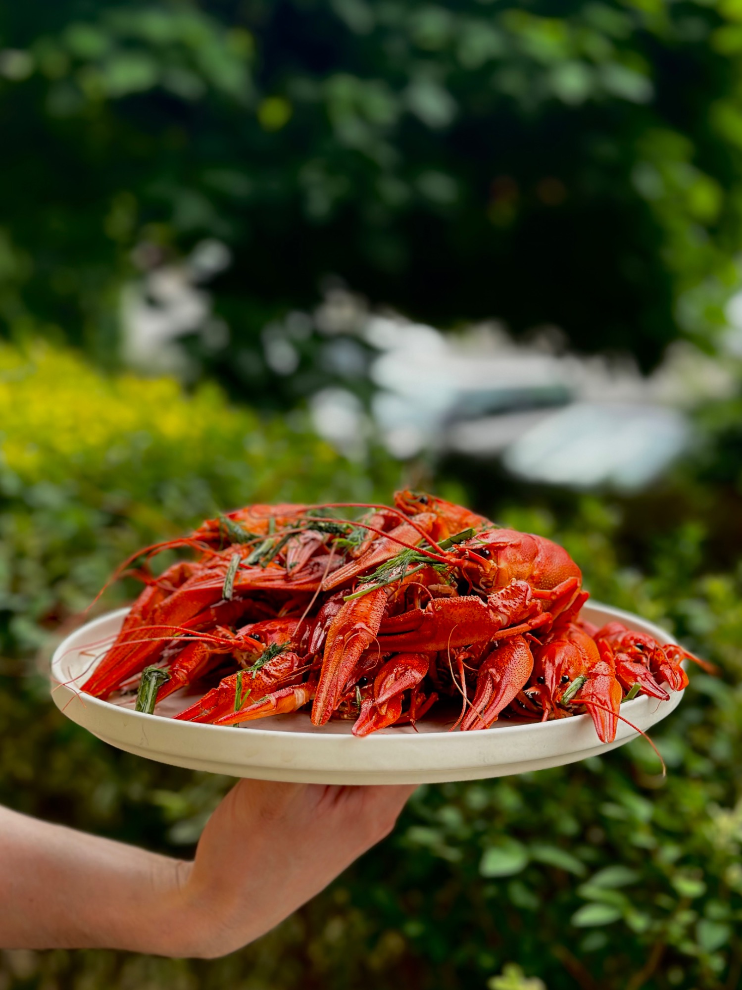 RAKI GOTOWANE (około 26 szt.)