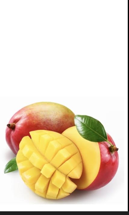 Mango Palmera Blanca