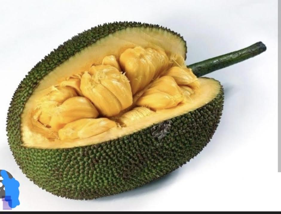 Jack Fruit 