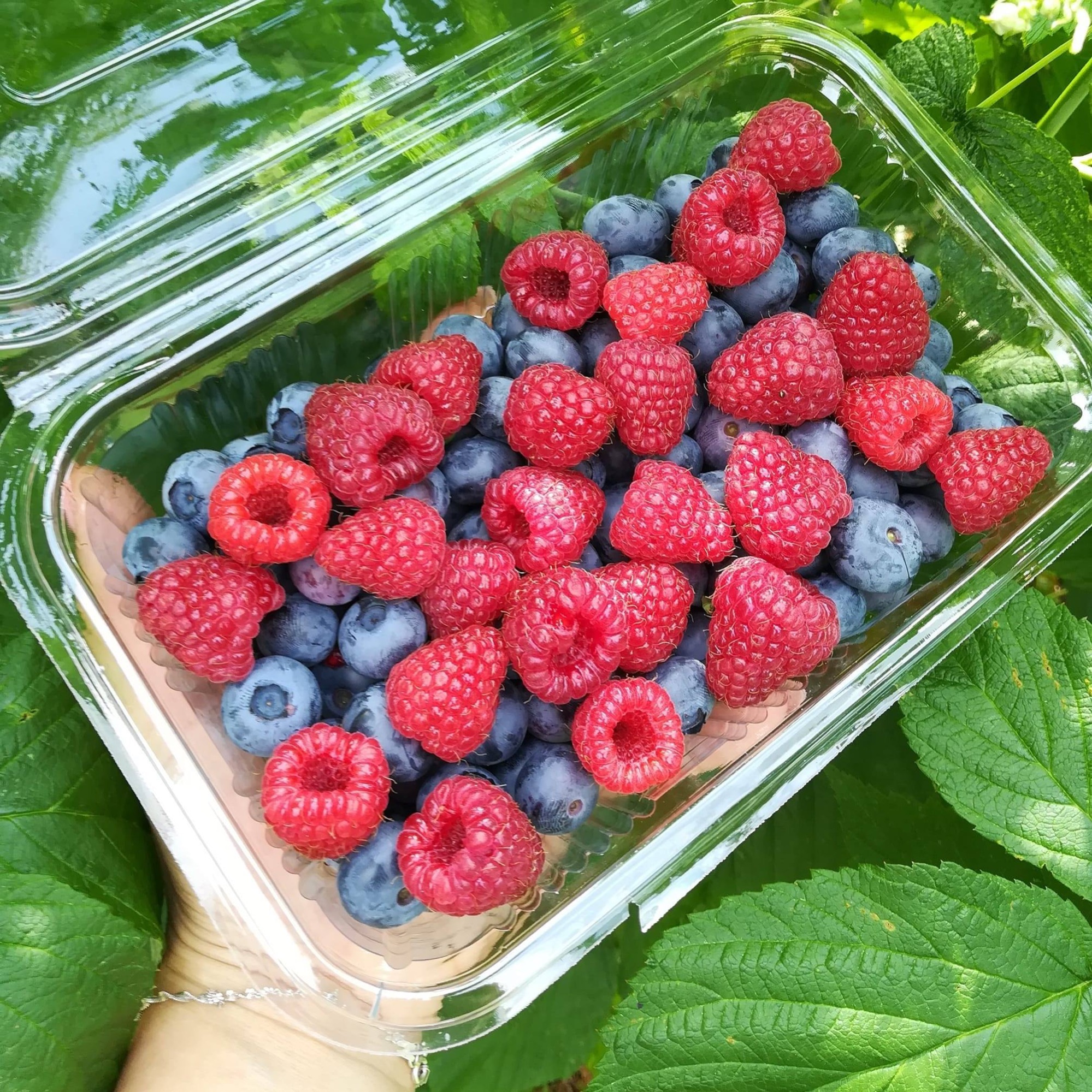 Mix De Fructe (zmeura și afine) 250gr