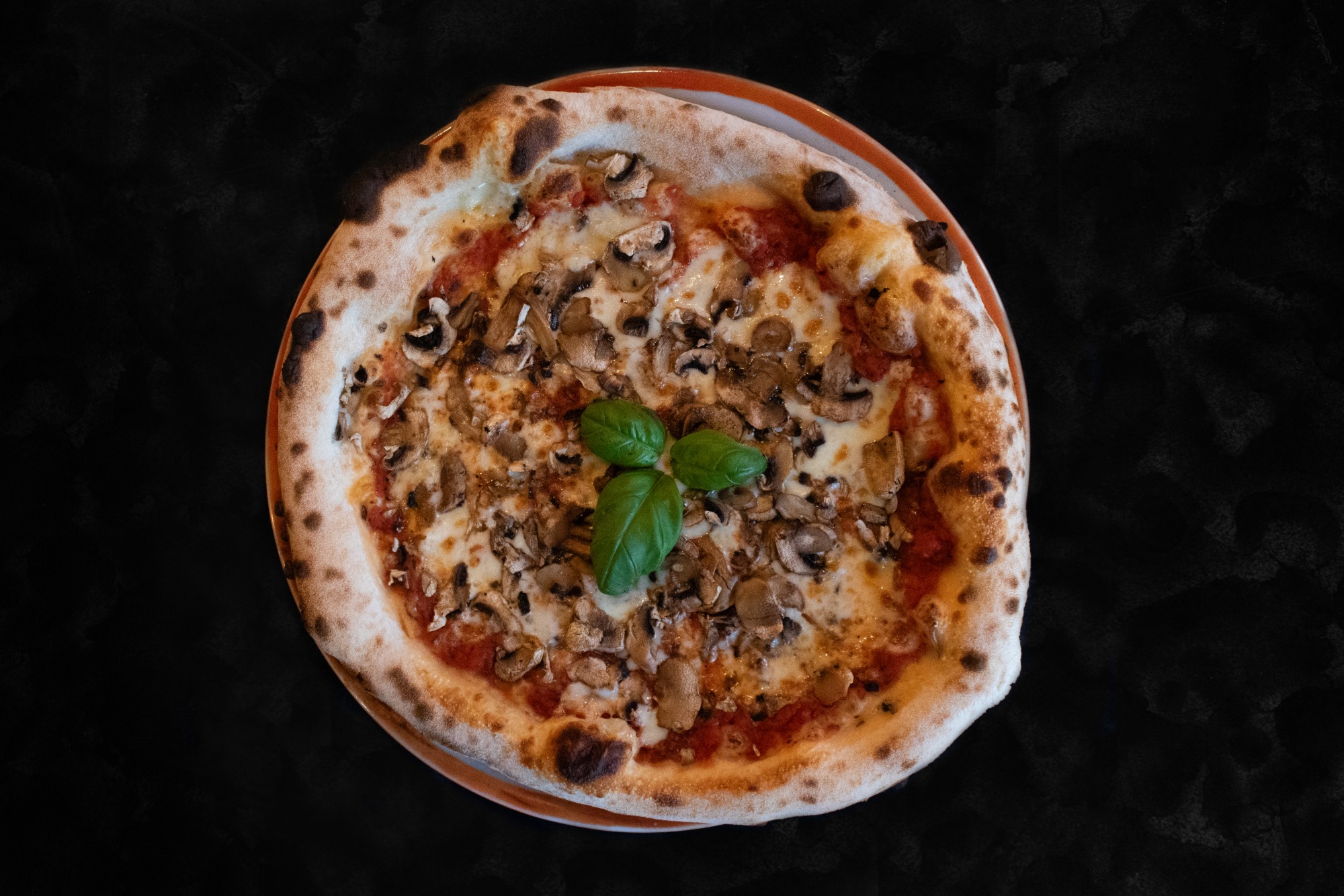 Pizza Funghi