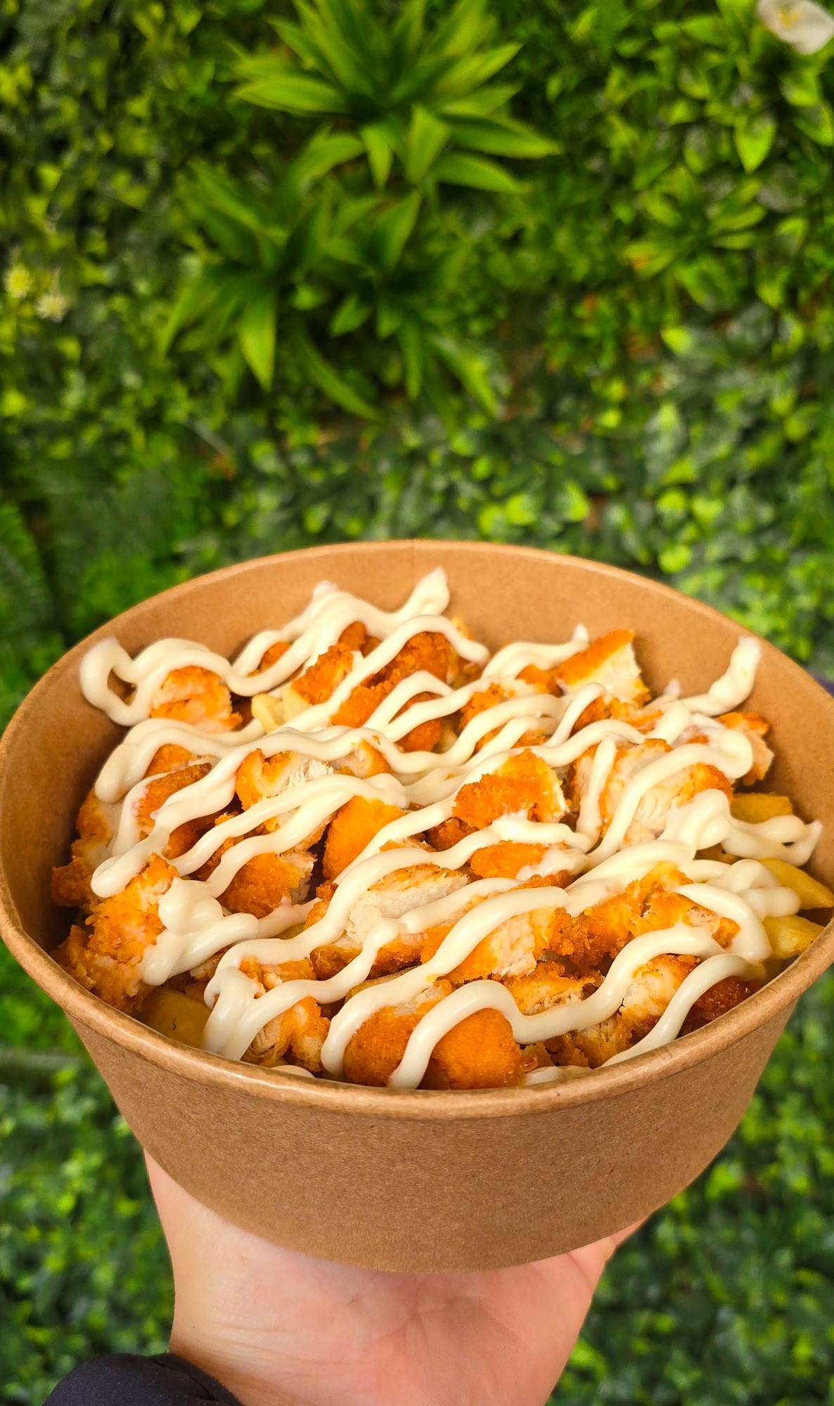 Crispy , Cartofi Mare 