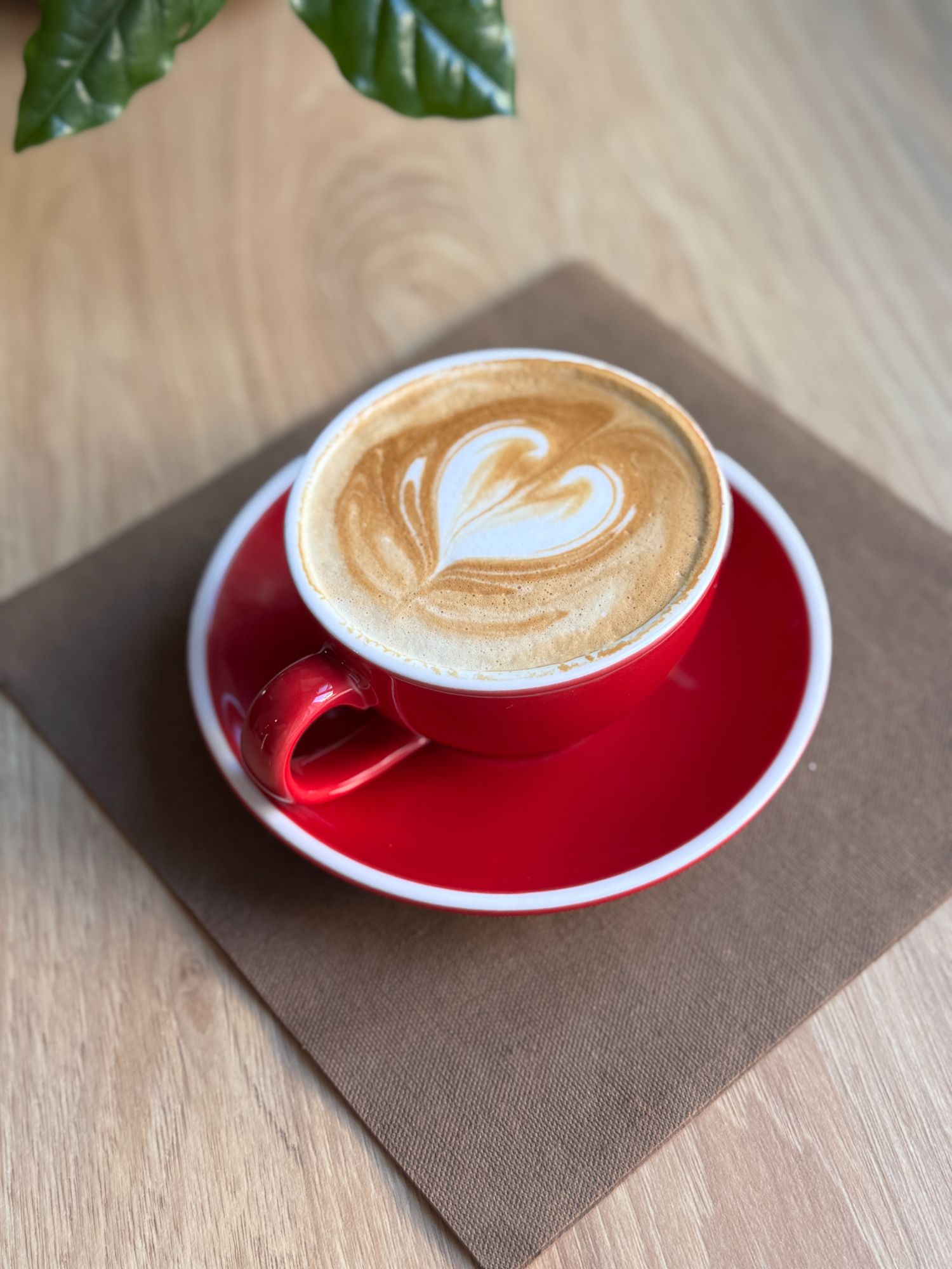 Cappuccino 9 g/180 ml (7)