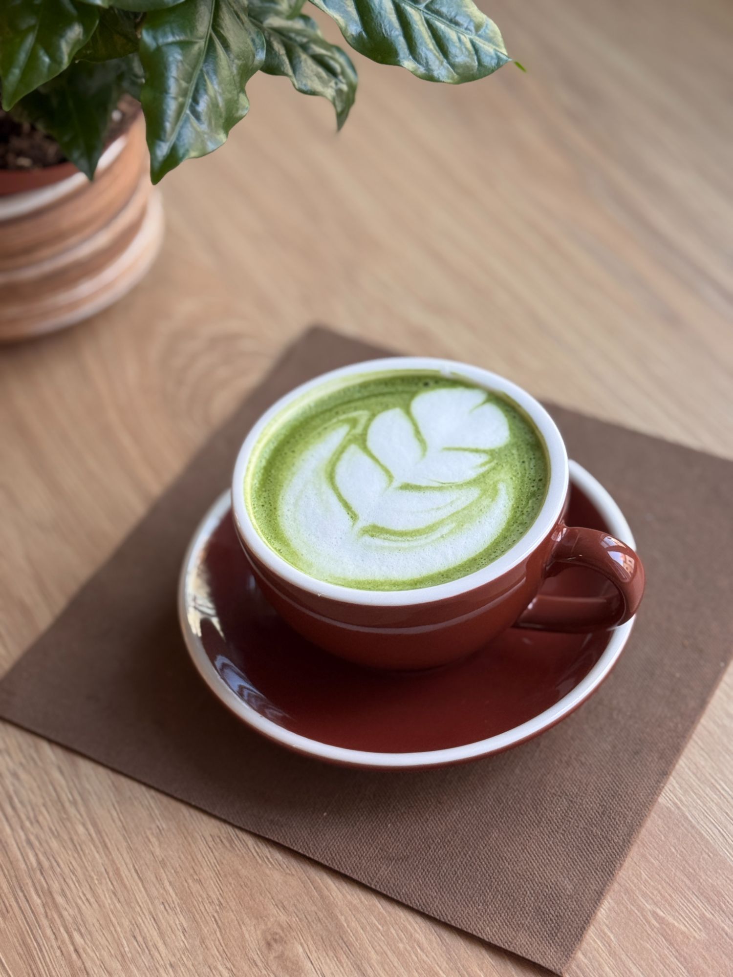 Matcha latte 230 ml (7)