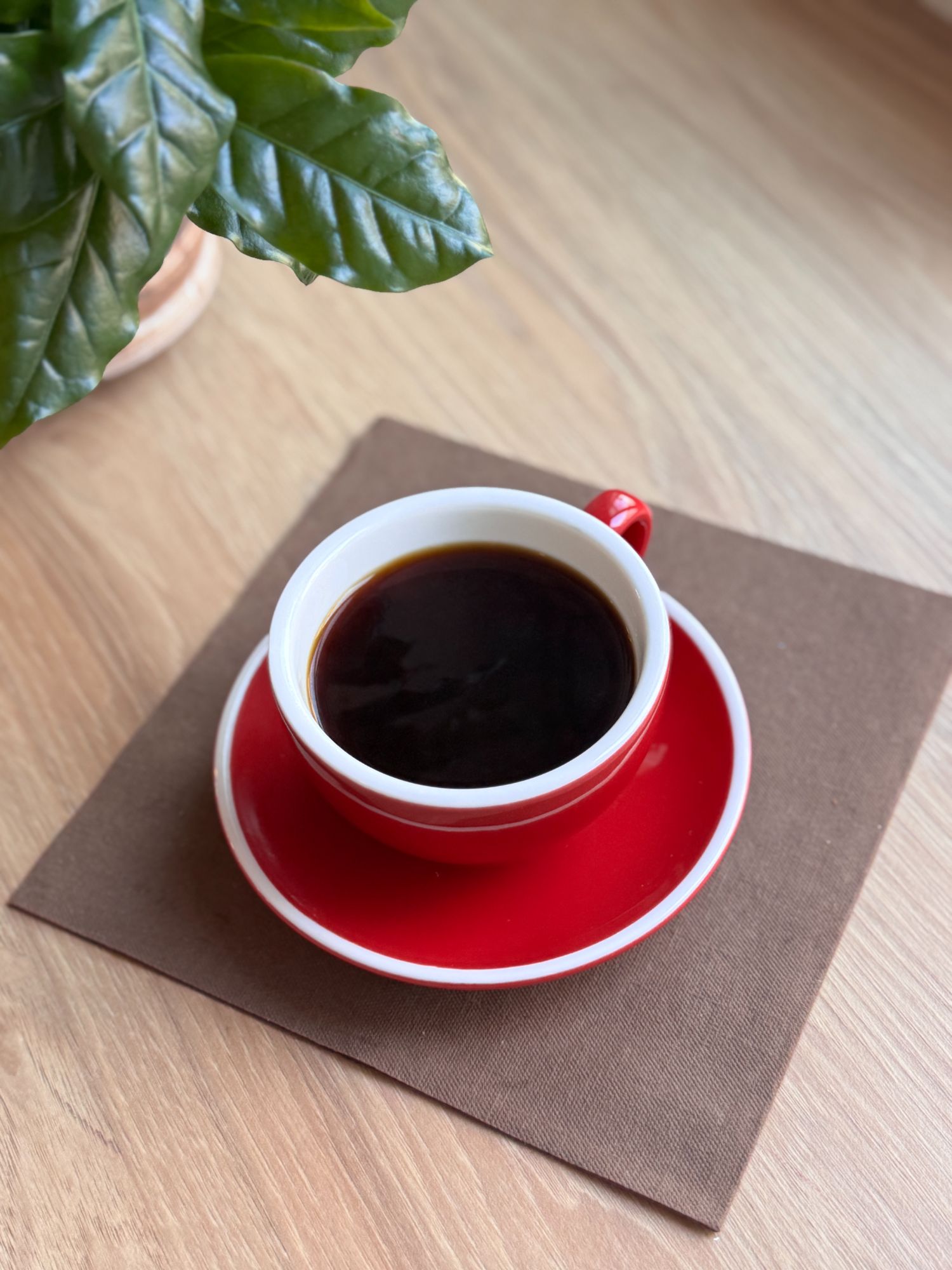 Filtrovaná káva - Batch Brew 11g/180 ml