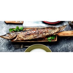 Szczupak grillowany