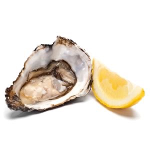 Ostryga świeża