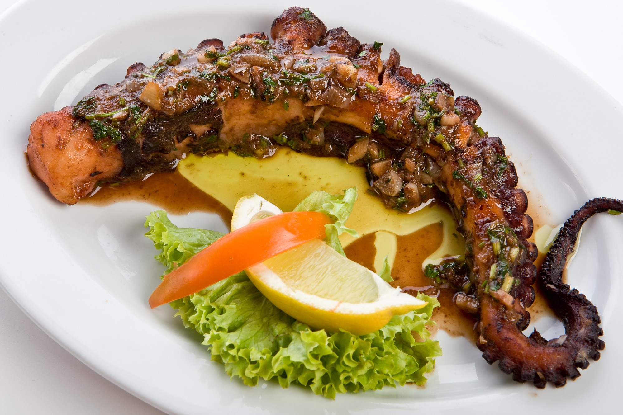 Macka z dużej ośmiornicy 