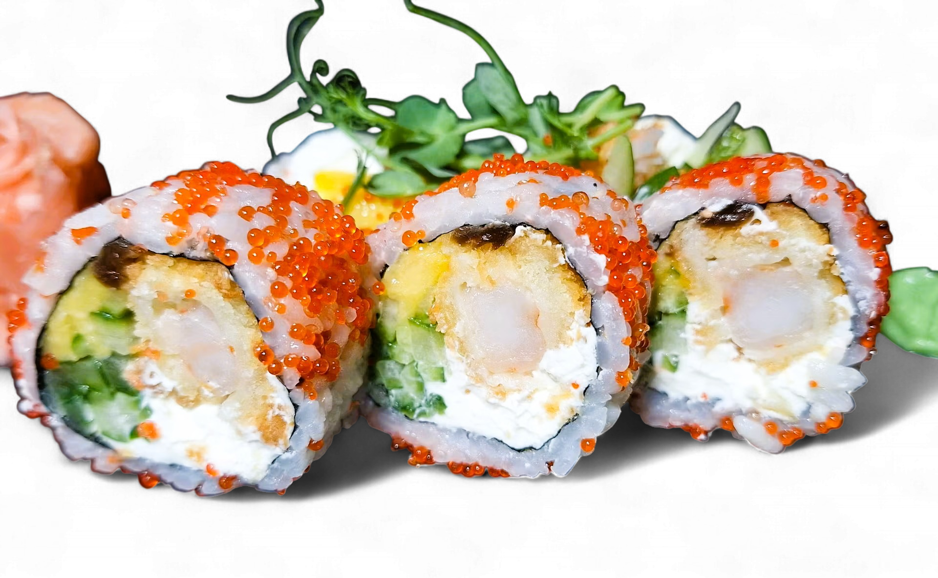 California Shimp 5szt