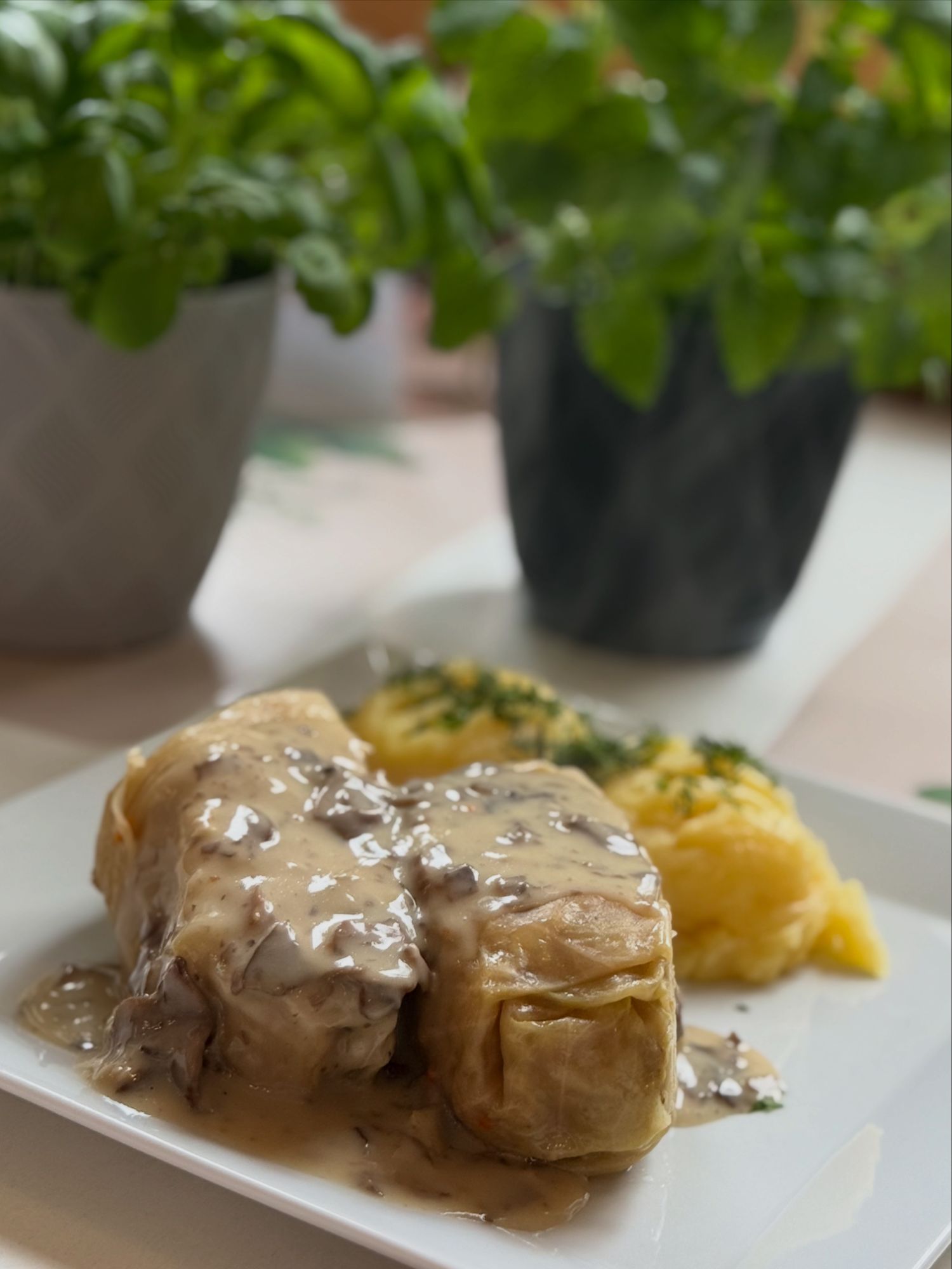 Smażone gołąbki z mięsem w sosie na talerzu, obok puree ziemniaczanym i ziołami, w tle rośliny doniczkowe.