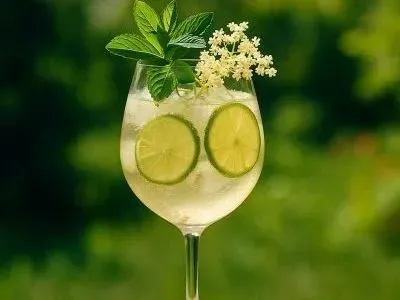 Hugo Spritz