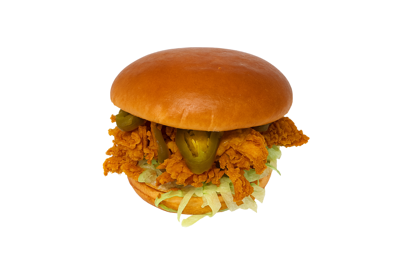 Spicy Crispy Chicken Burger