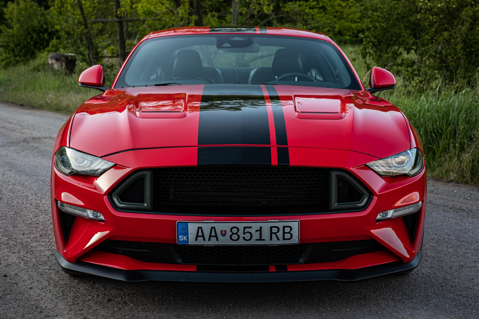 Krátkodobý prenájom vozidla Mustang gt 5.0 2022