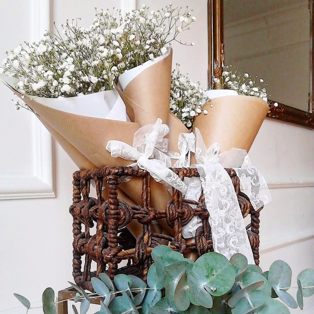 Gipsofila tuljak - živo cvijeće