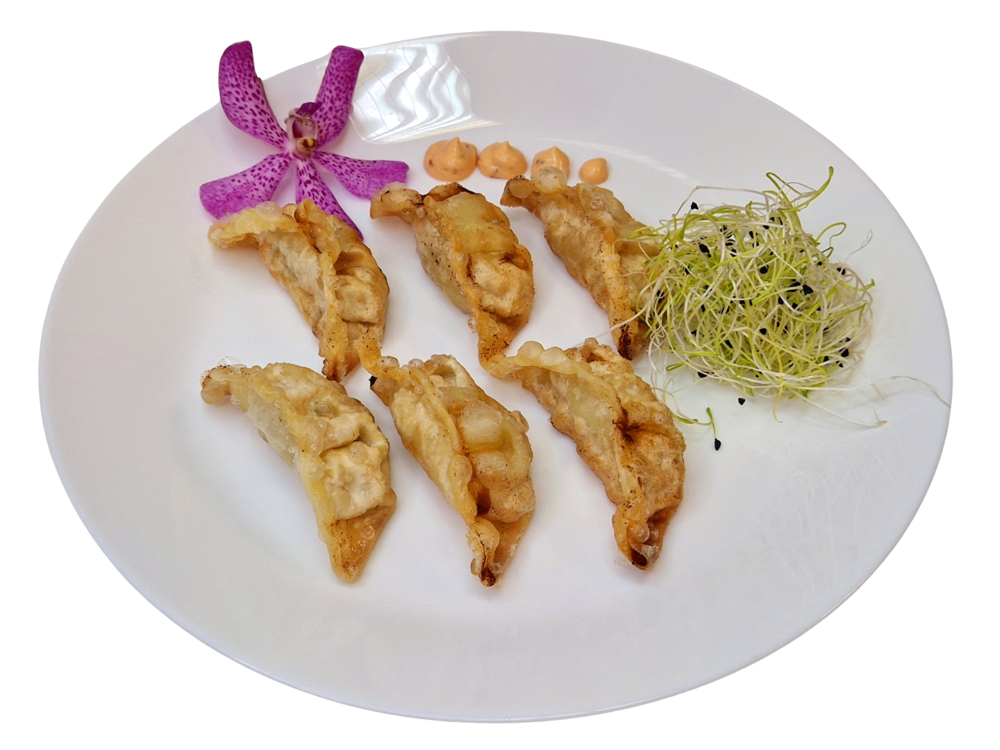 Pierożki Gyoza