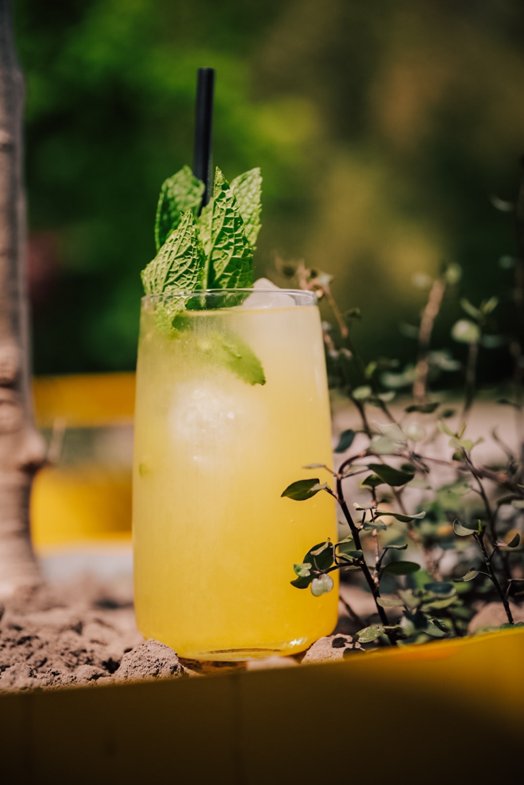 Lemoniada