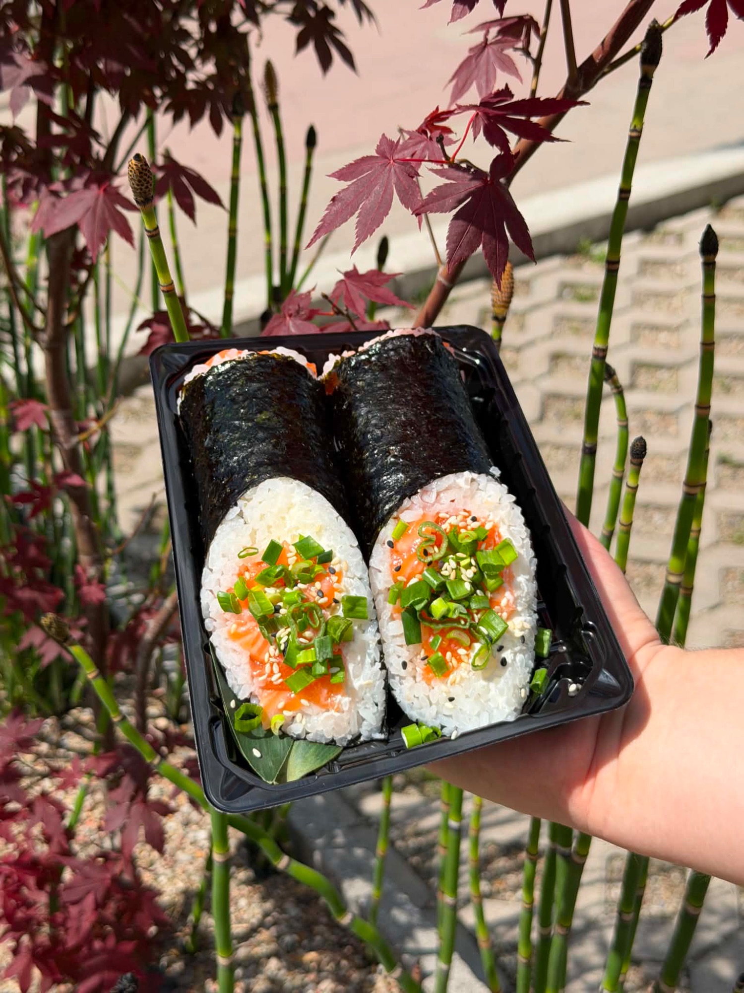 Sushi Wrap