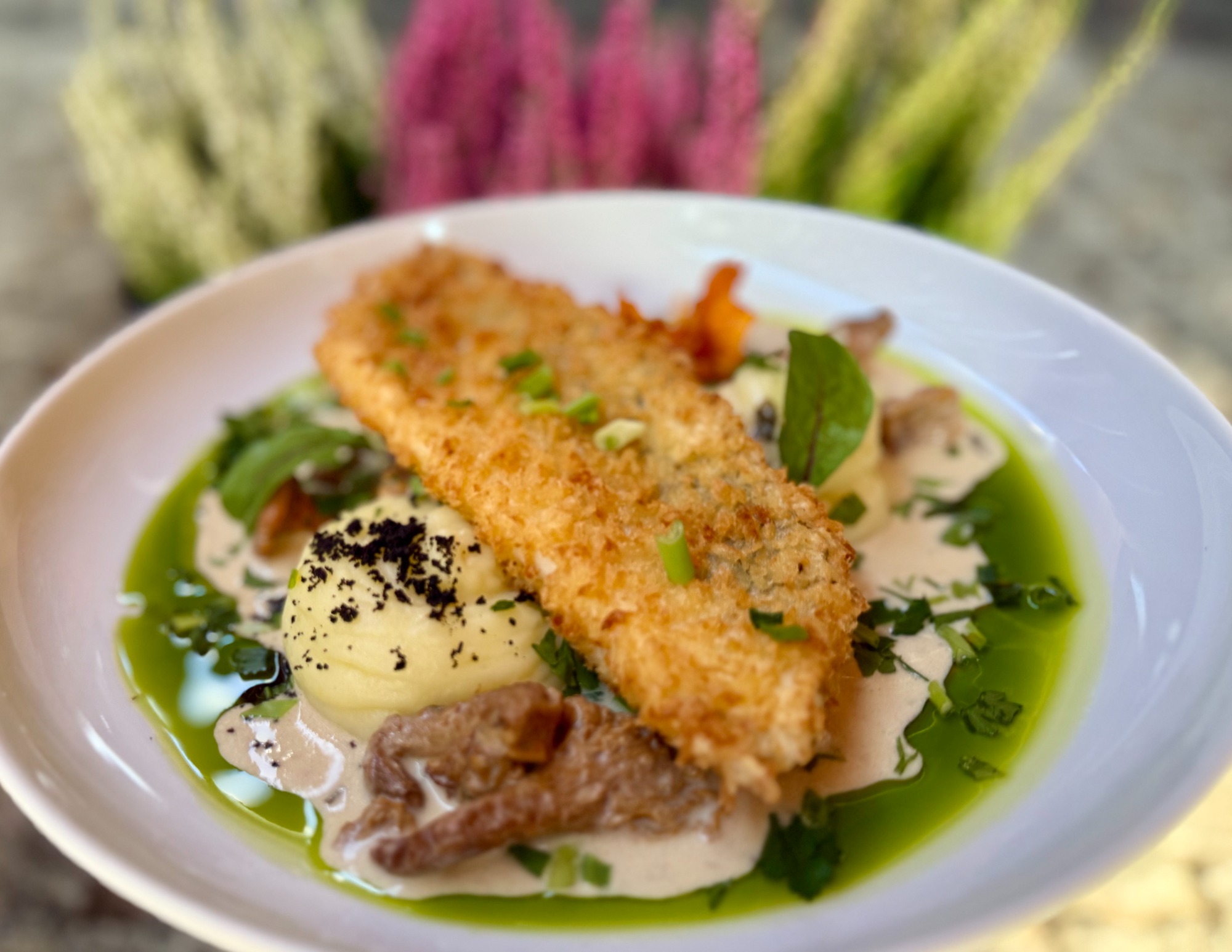 Sandacz w panko z kurkami