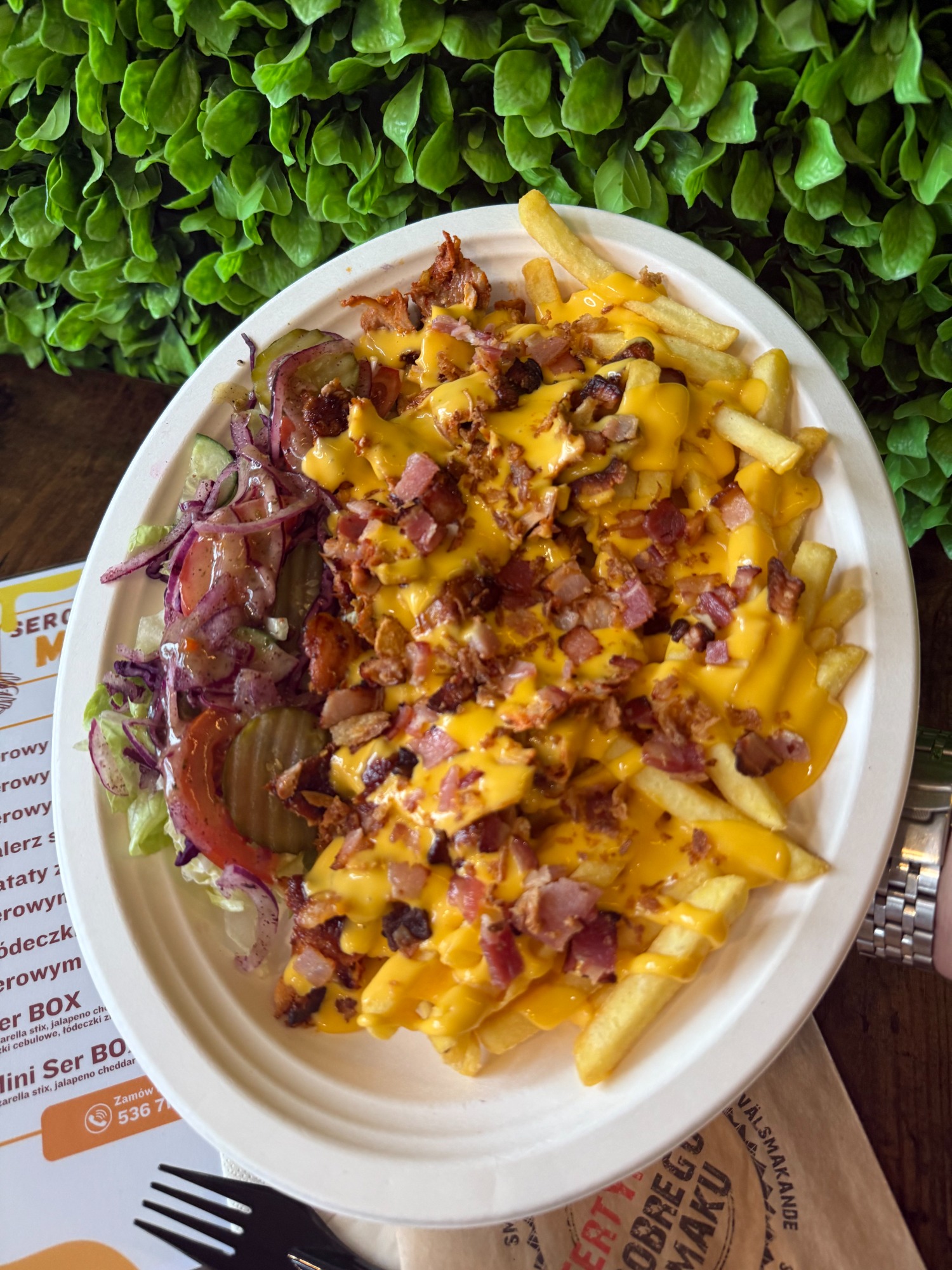 Talerz serowego brata