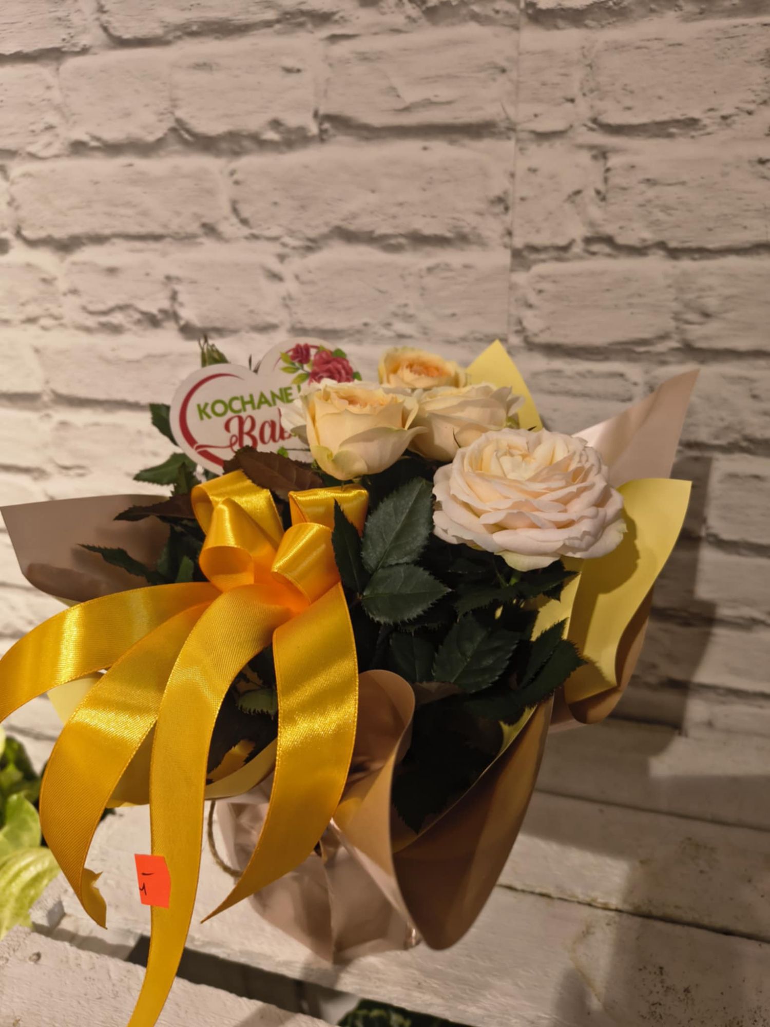 Róża doniczkowa Dzień Babci