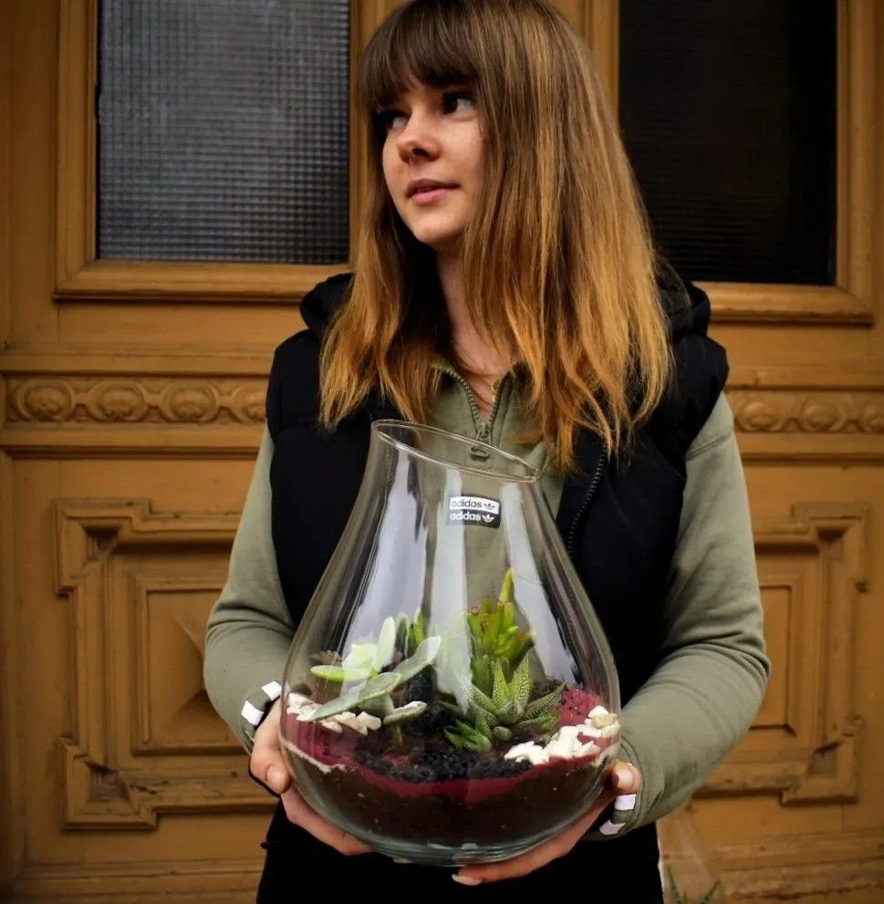 Kompozycja z sukulentów i kaktusów