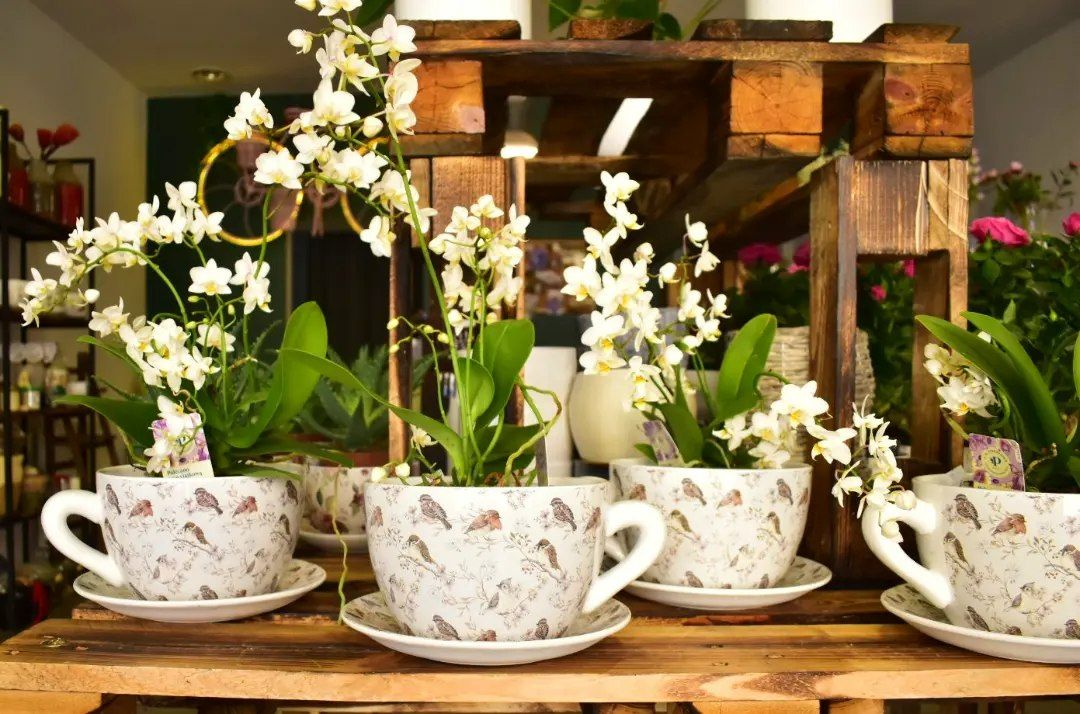 Kompozycja w filiżance 4