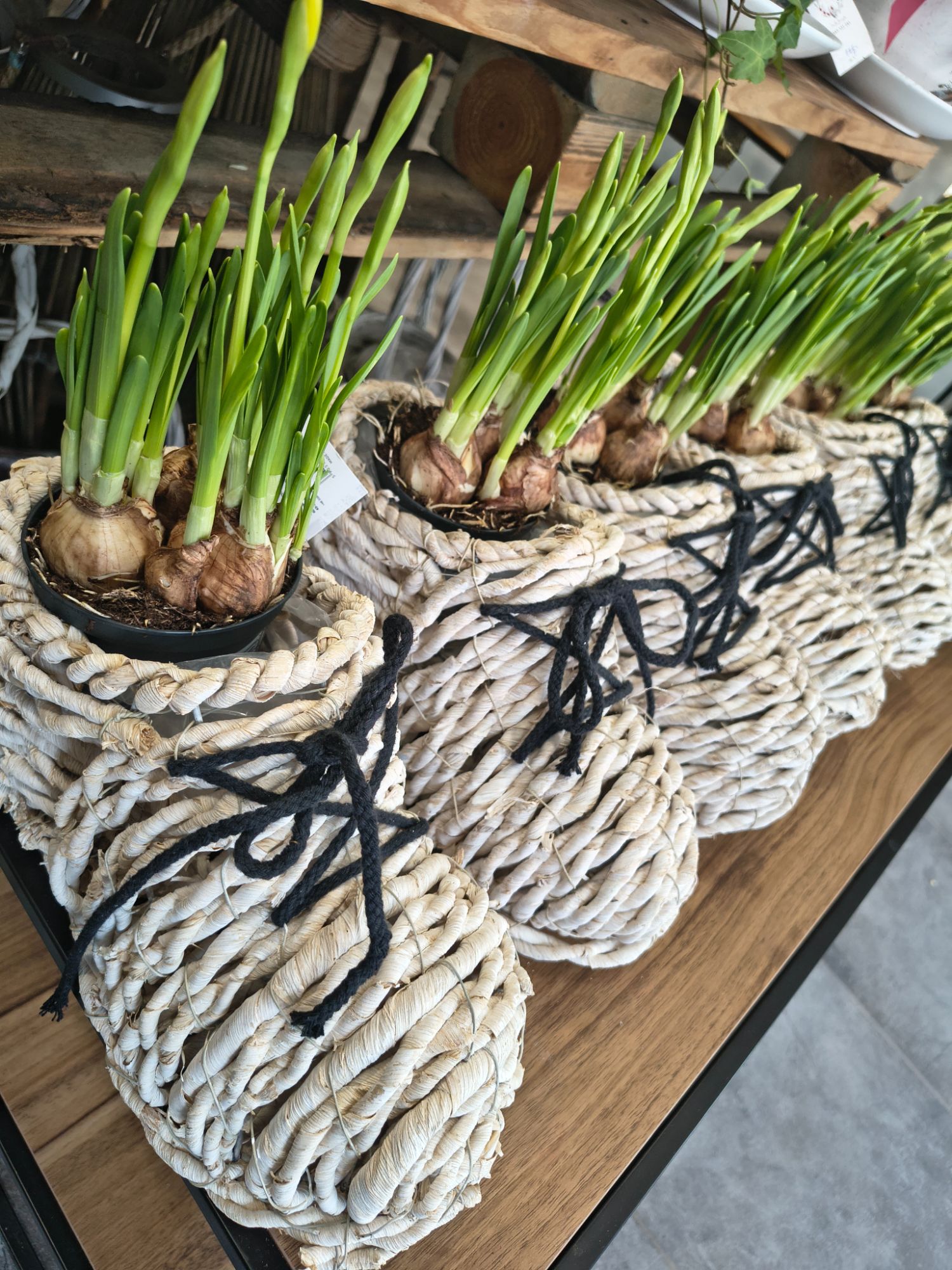 Wiosenny but z narcyzem