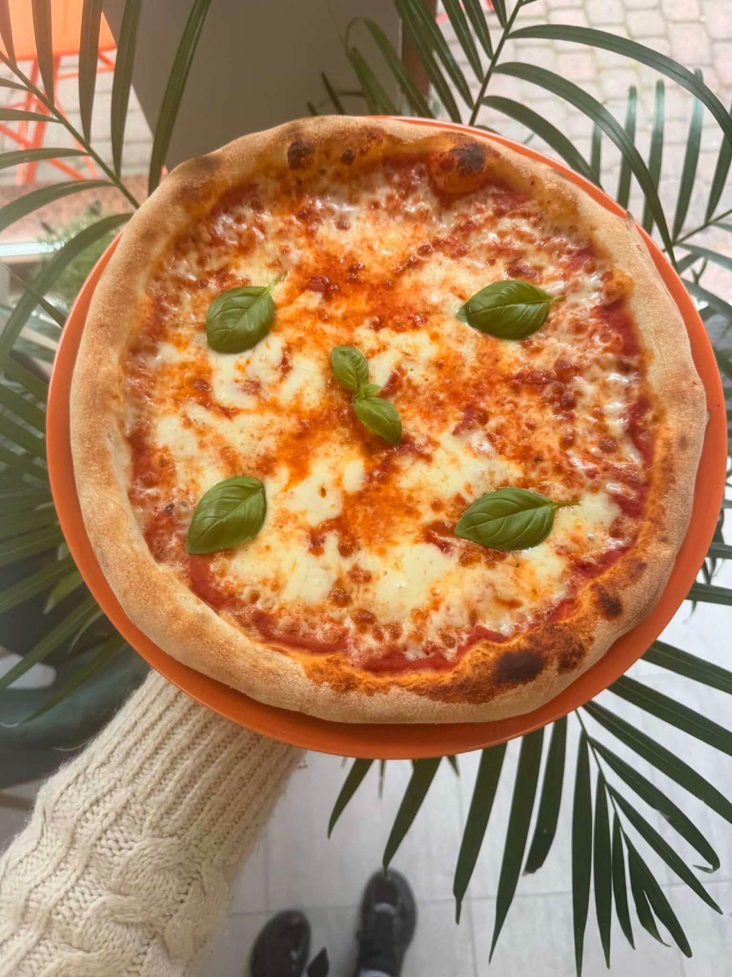 Margherita