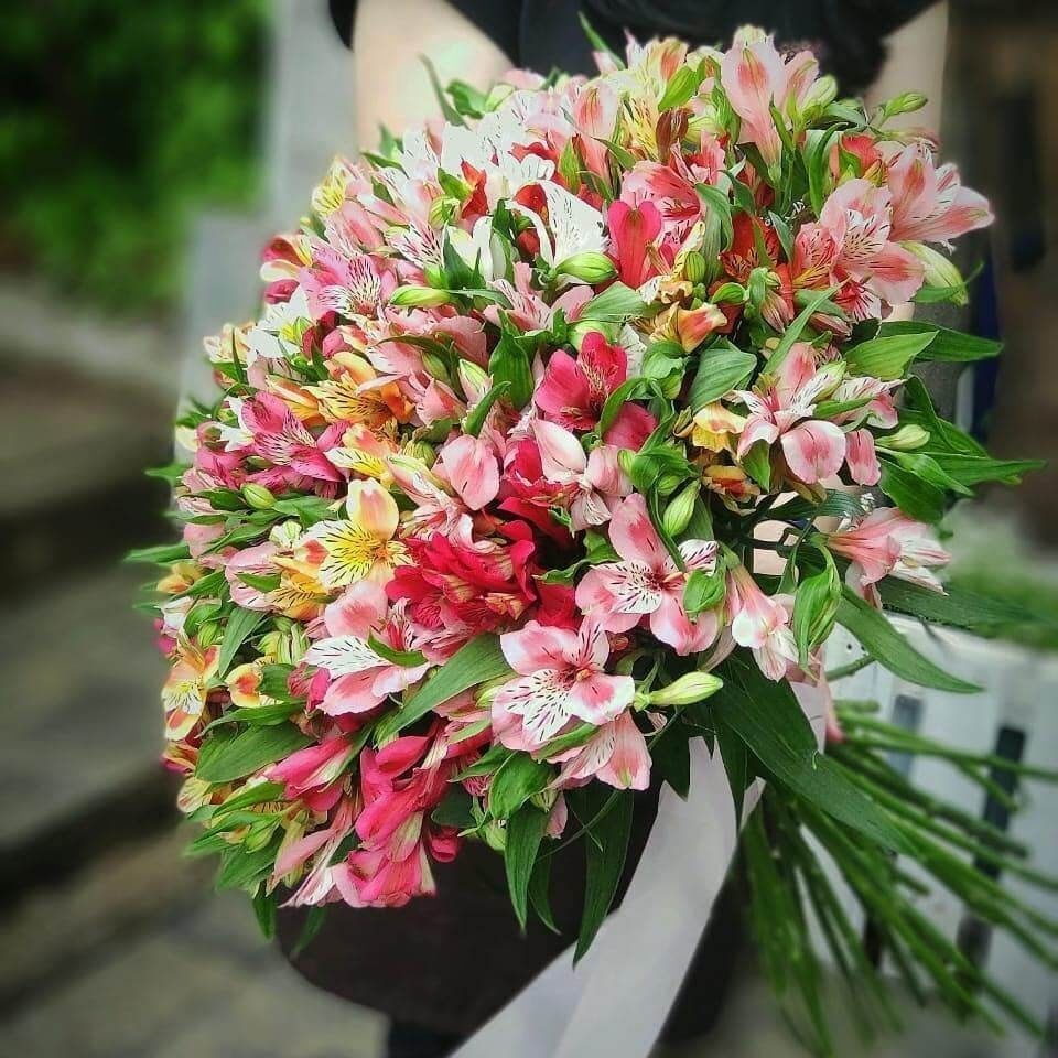 Bukiet alstromeria MIX 51szt