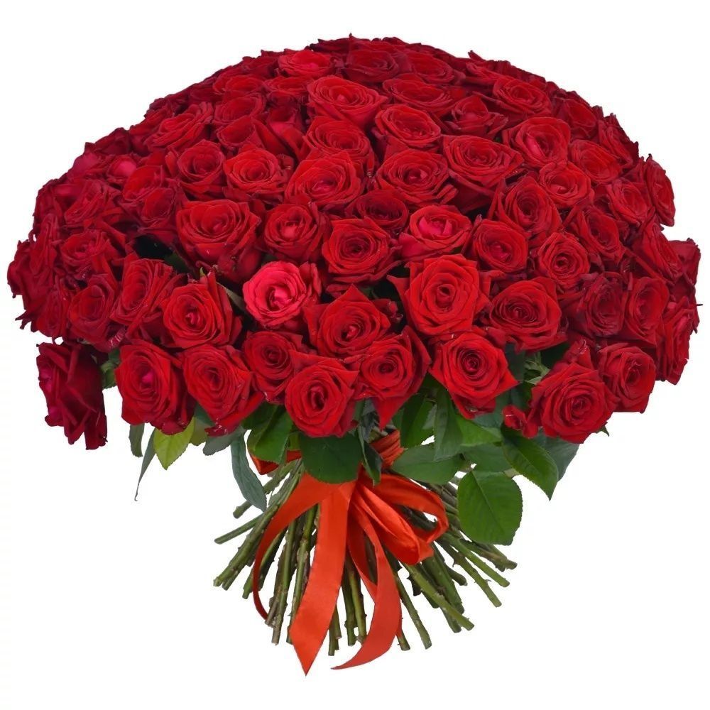 Bukiet czerwonych róż (70-80cm) 101szt