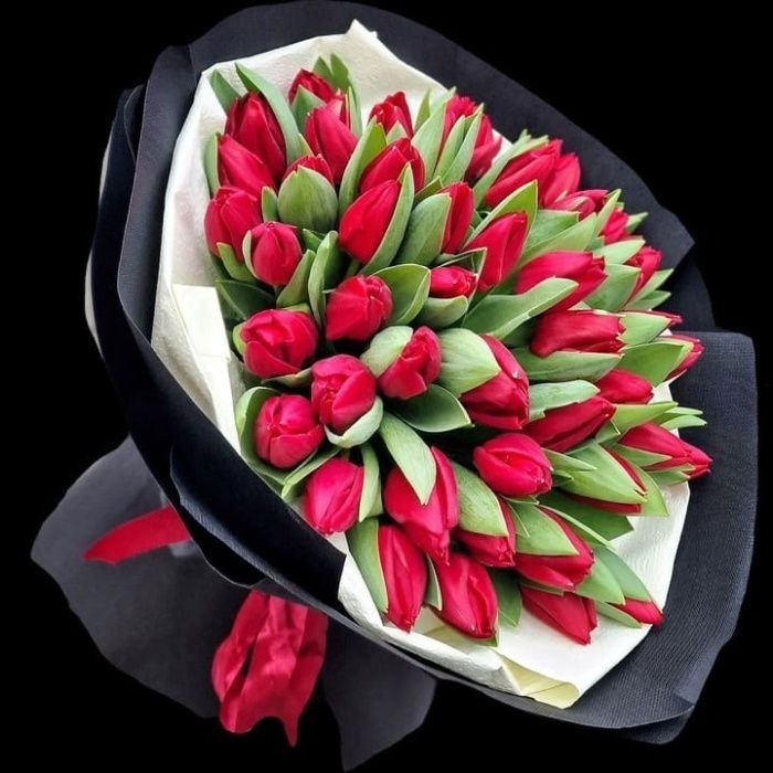 Bukiet czerwonych tulipanów STRONG (35-40cm) 25szt