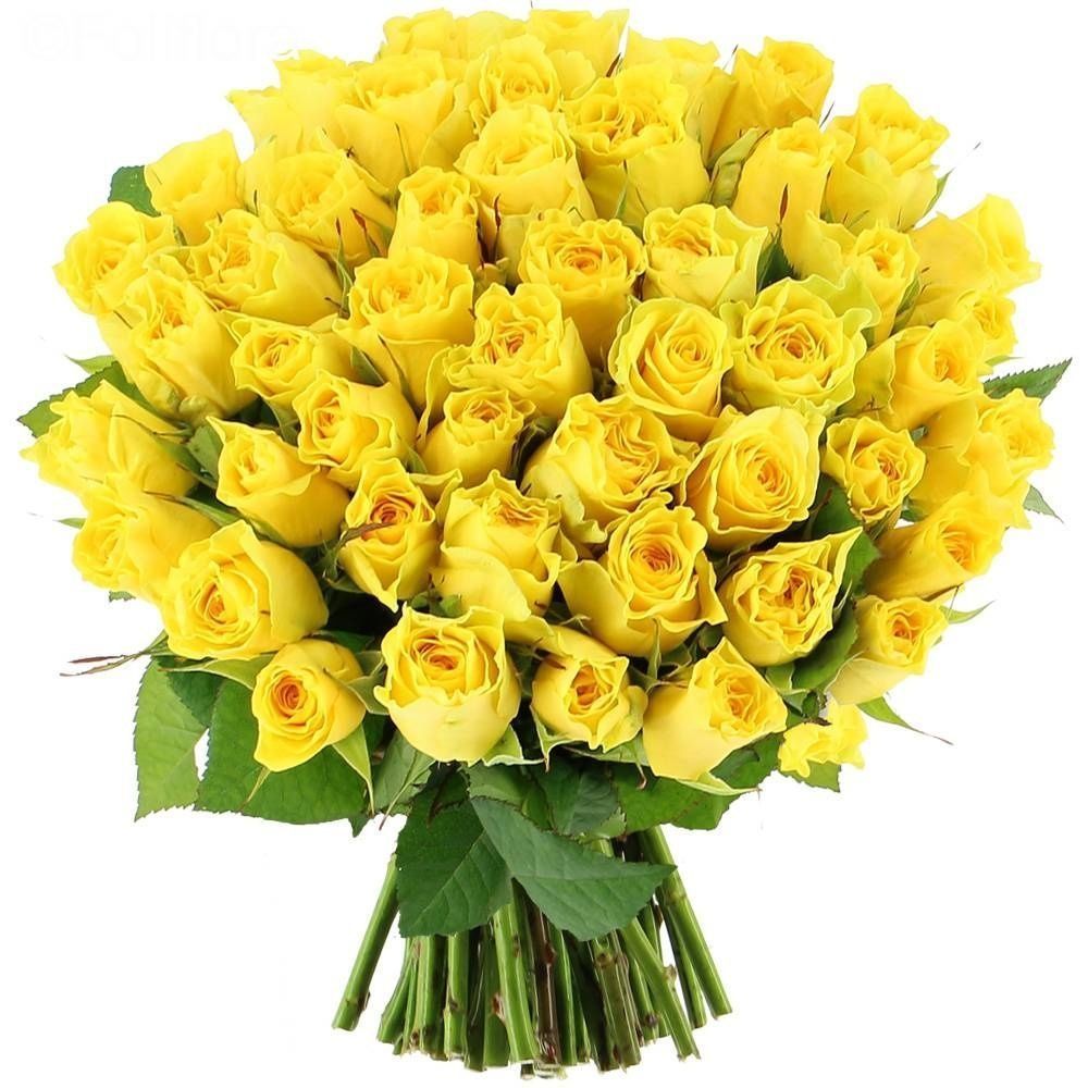Bukiet żółtych róż (50-60cm) 25szt
