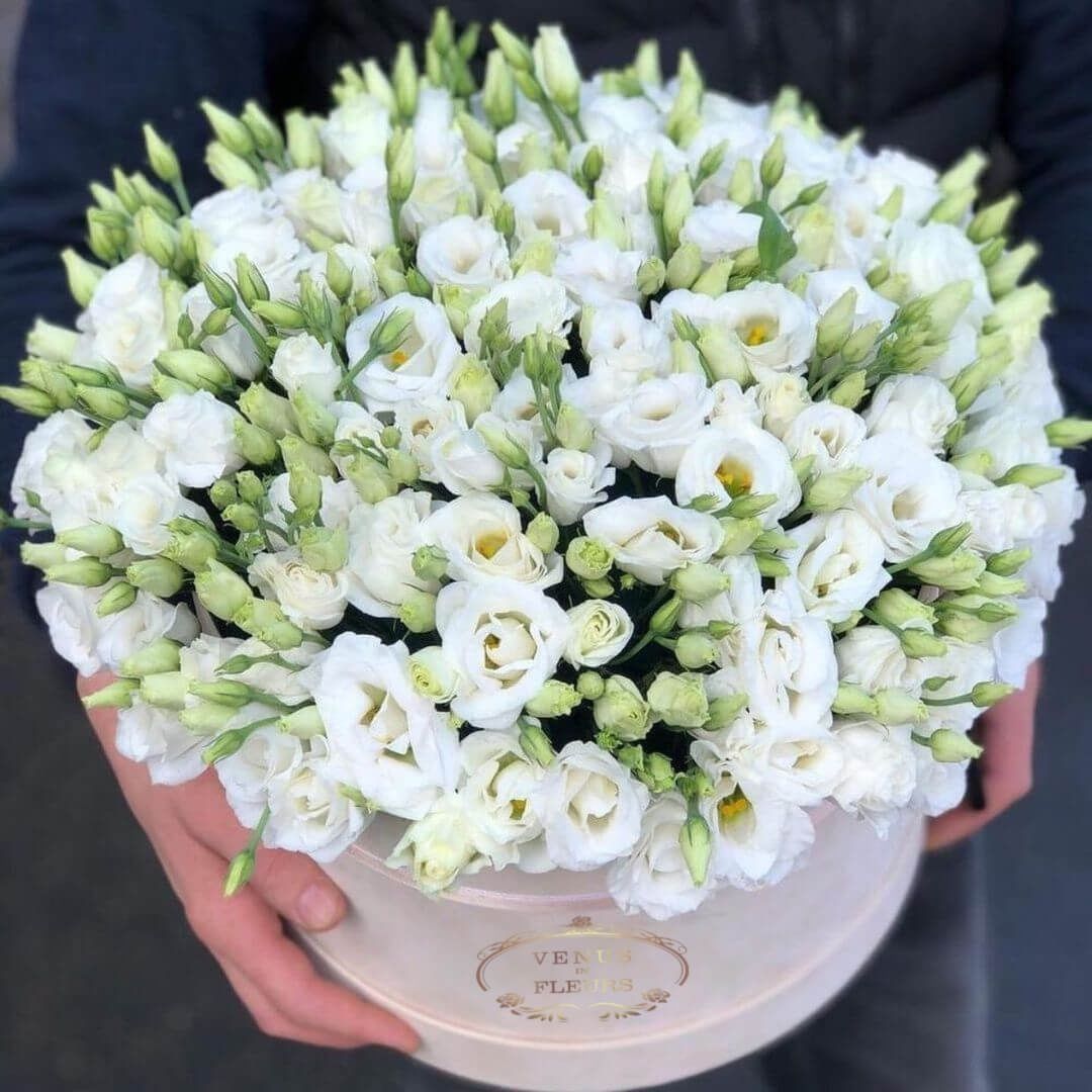 FLOWER BOX biała eustoma
