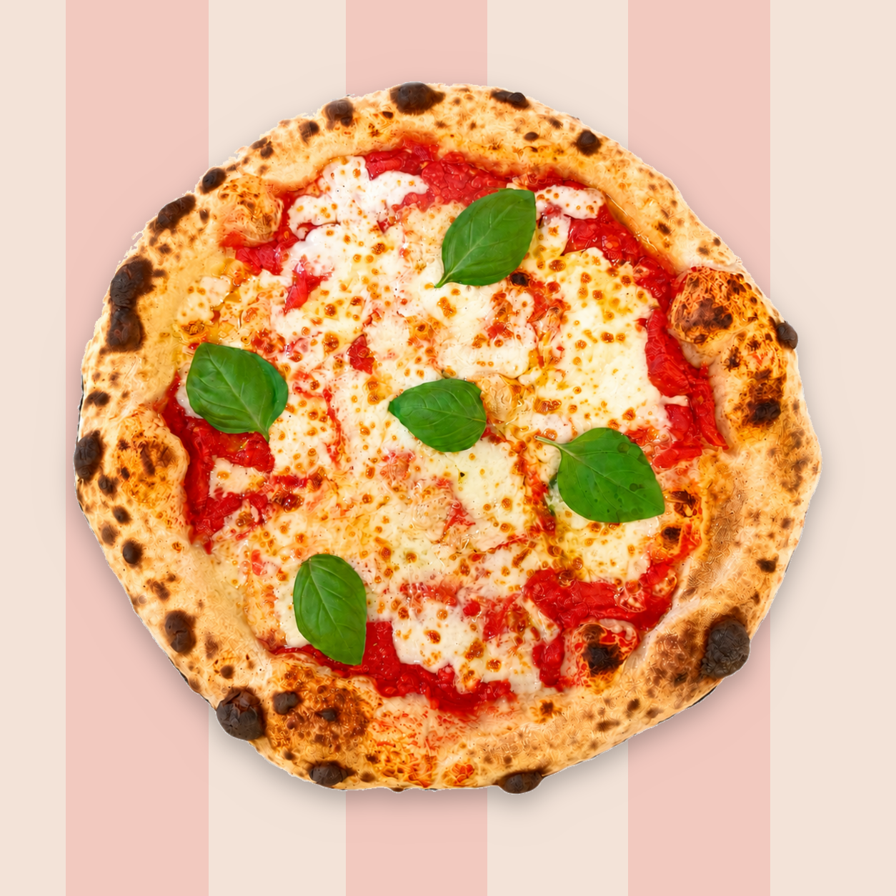 Pizza Margherita z serem, sosem pomidorowym i świeżą bazylią na beżowym tle.