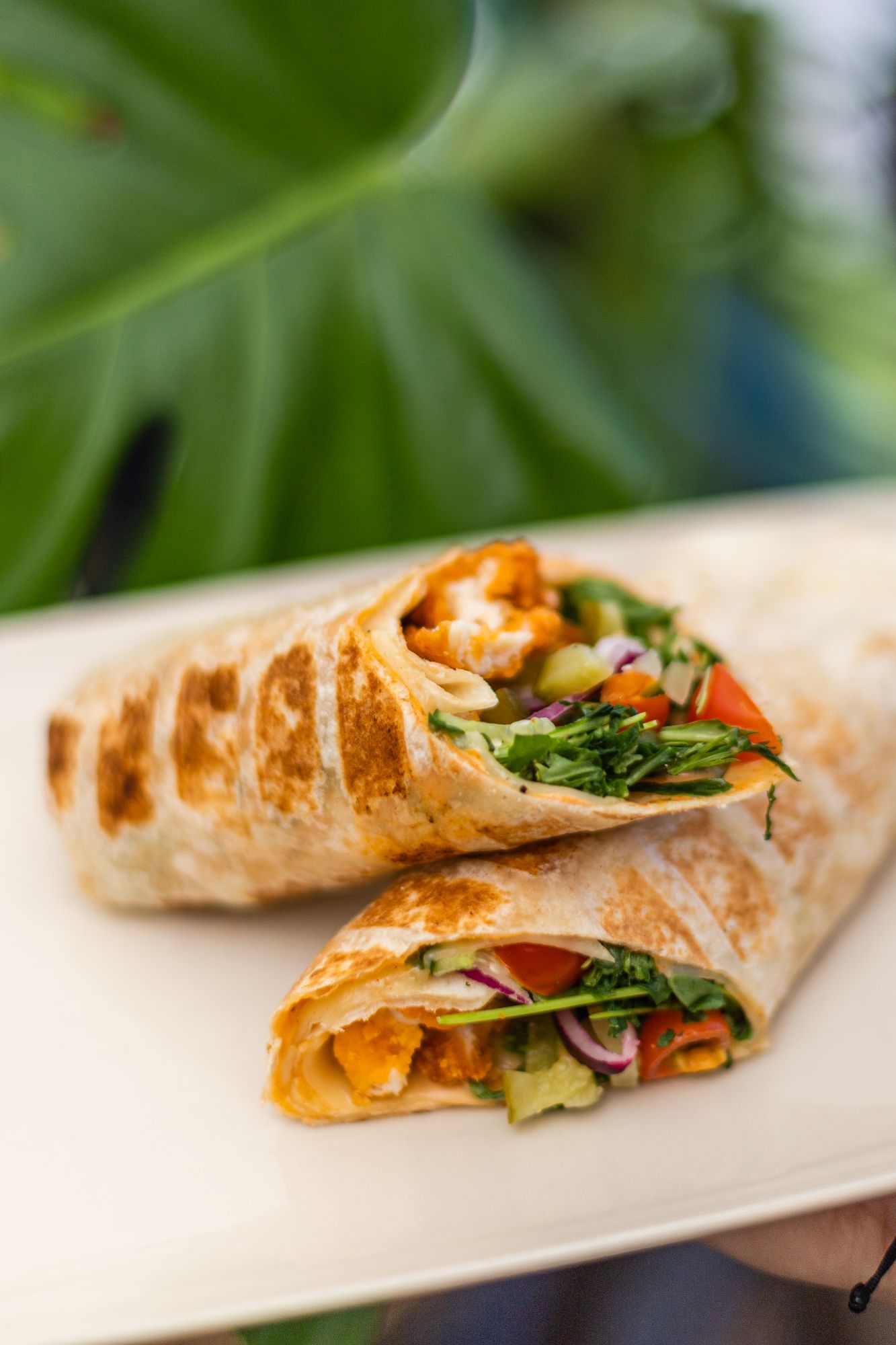 Wrap Chicken Cheese