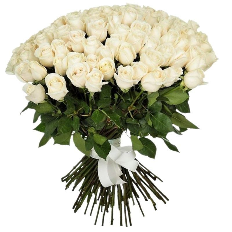 Białe róże 19szt