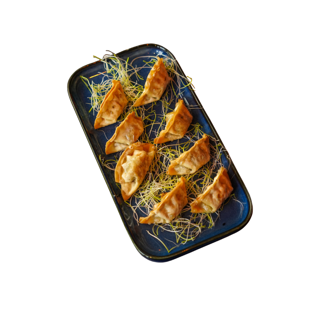 GYOZA Z KACZKĄ