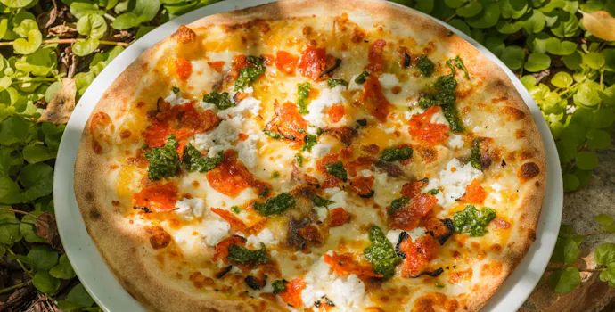 Pizza na talerzu z serem, pomidorami i ziołami, ozdobiona na tle zielonych roślin.