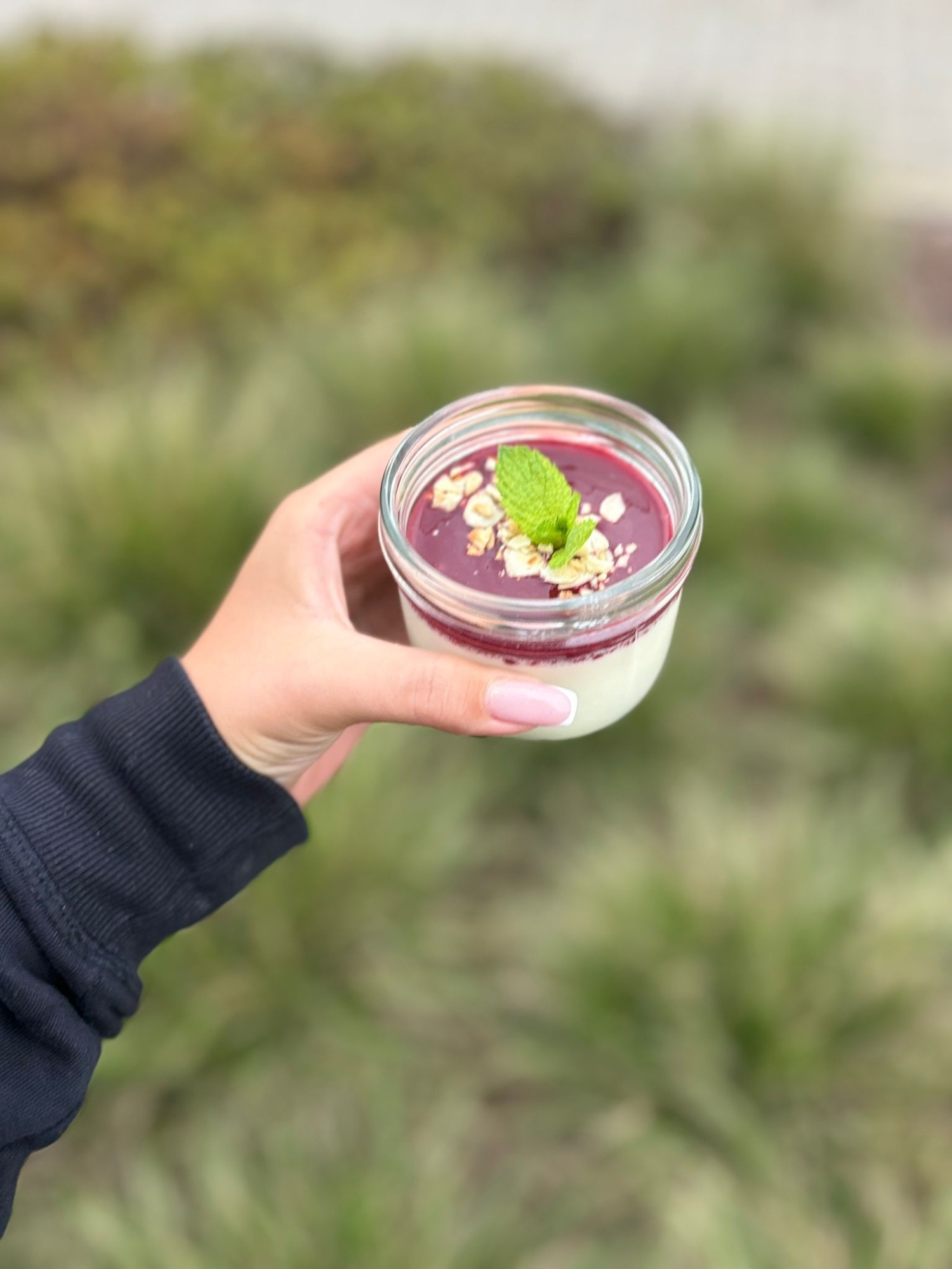 Panna Cotta