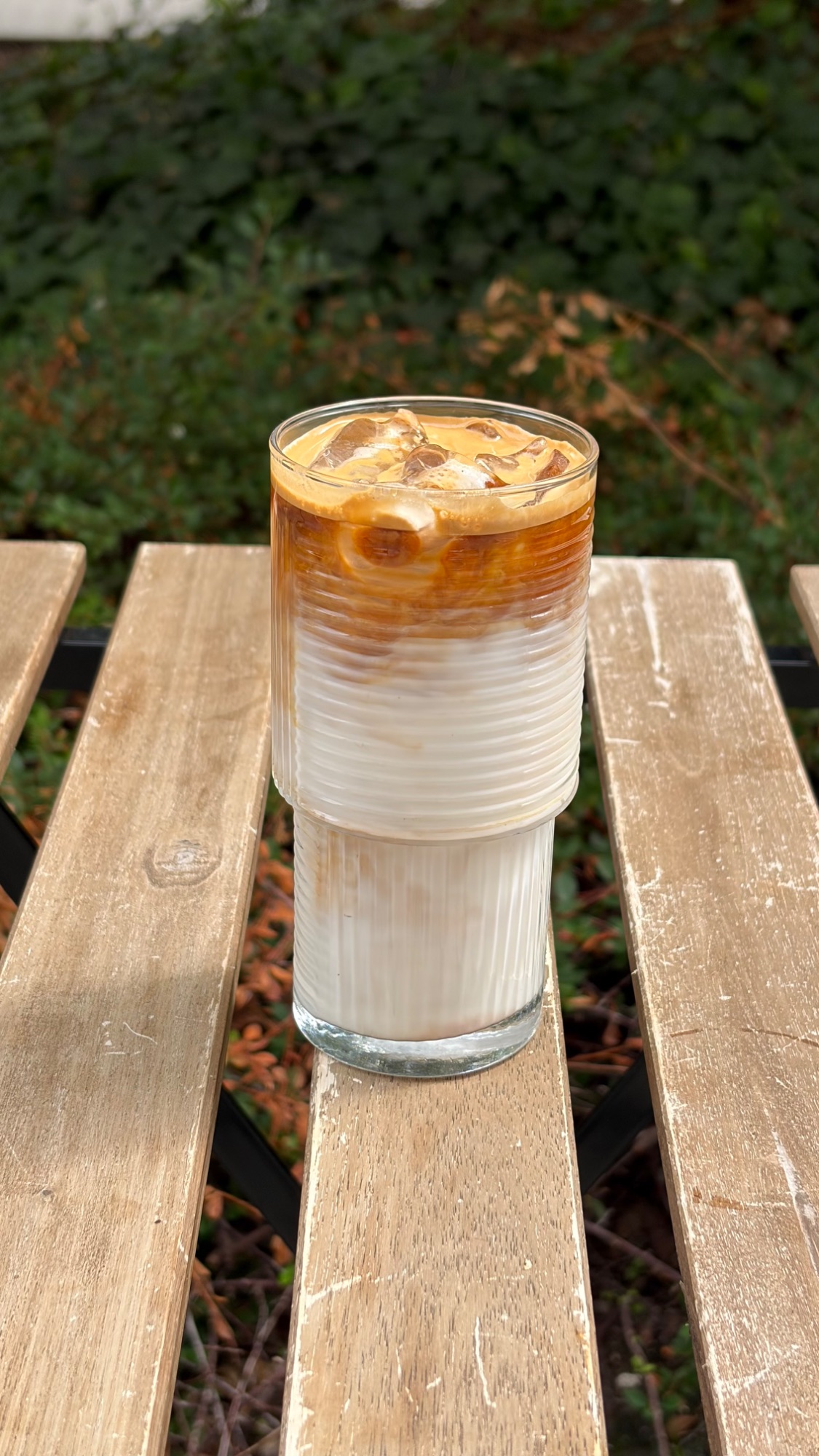 Ice Latte