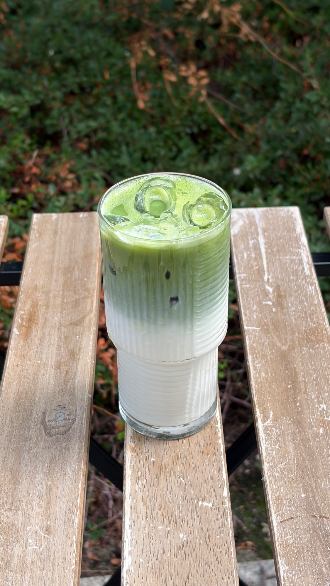 Ice Matcha Latte