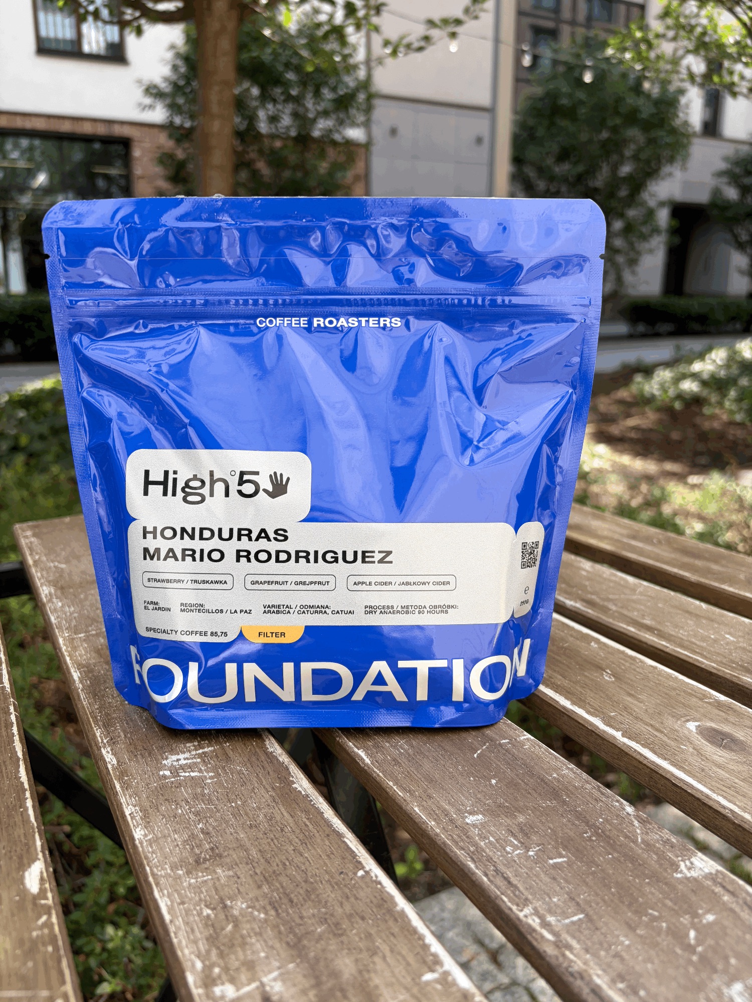 Foundation Honduras Mario Rodriguez (Filter)